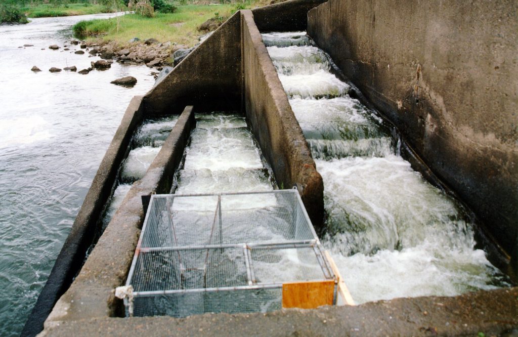 Weir fishway on Marian Weir