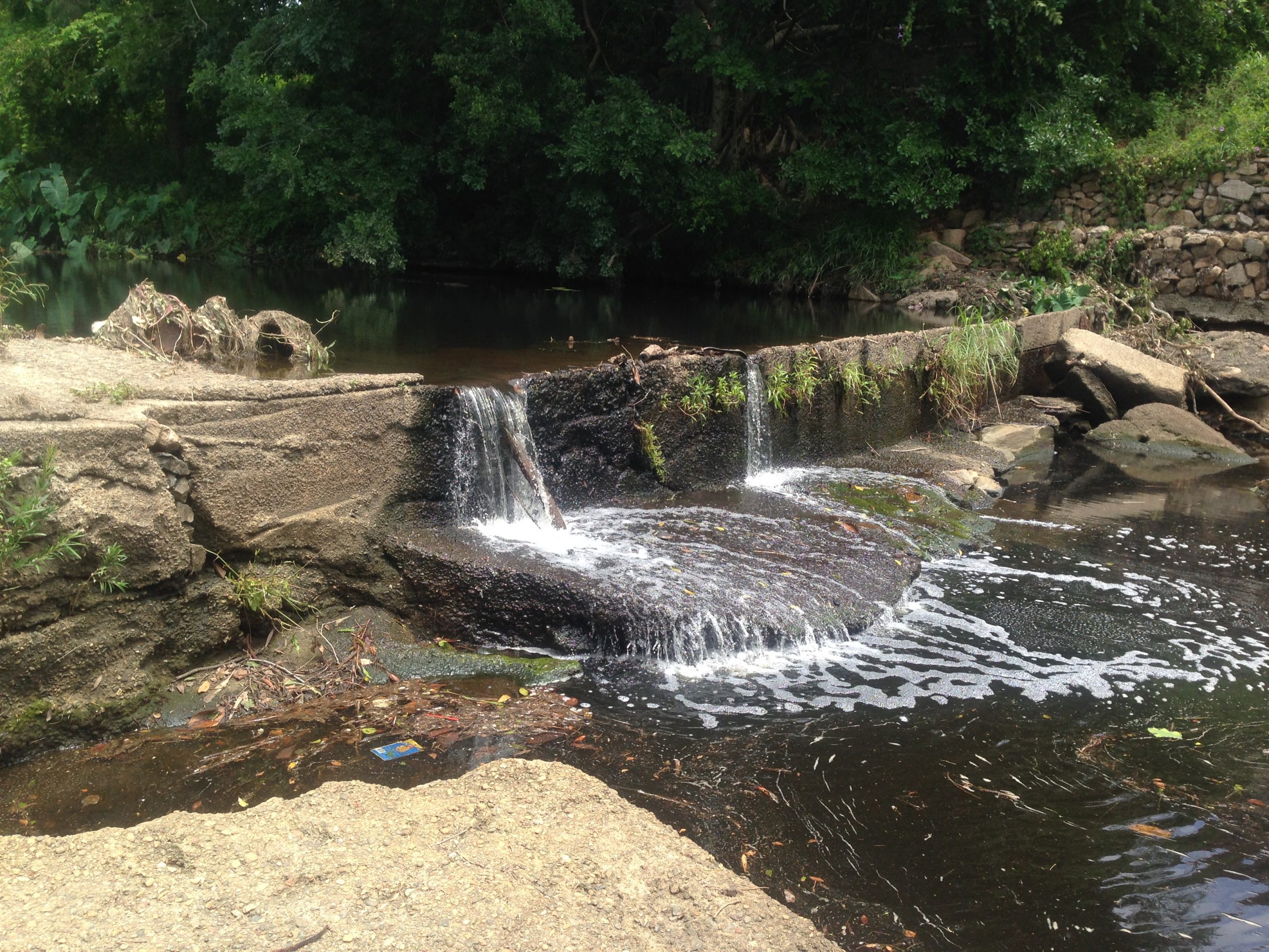 Fish barrier Enoggera Creek.