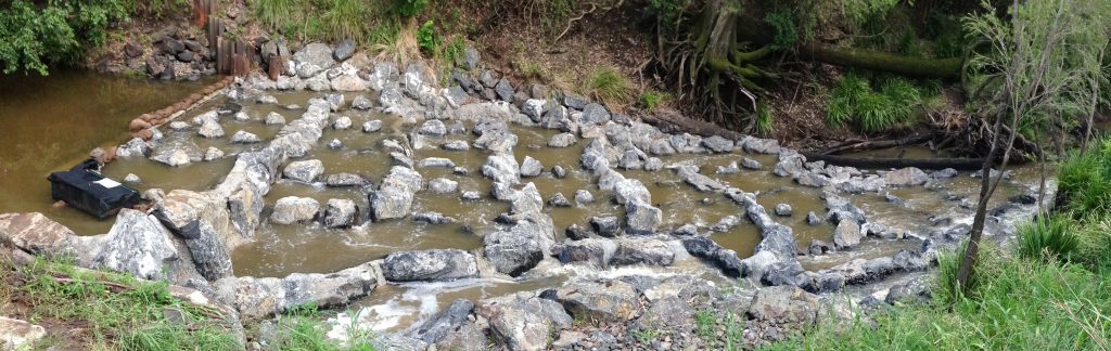 Longest rock ramp fishway, here at Berrys Weir.