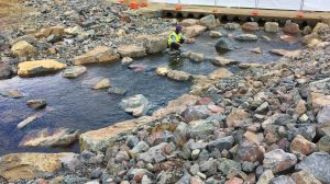 South Pine River and a rock ramp fishway.