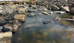 Fish ladder at South Pine River.