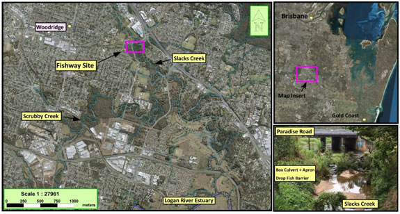 Showing location of the Paradise Road fish barrier on Slacks Creek in Logan City, South-east Queensland.