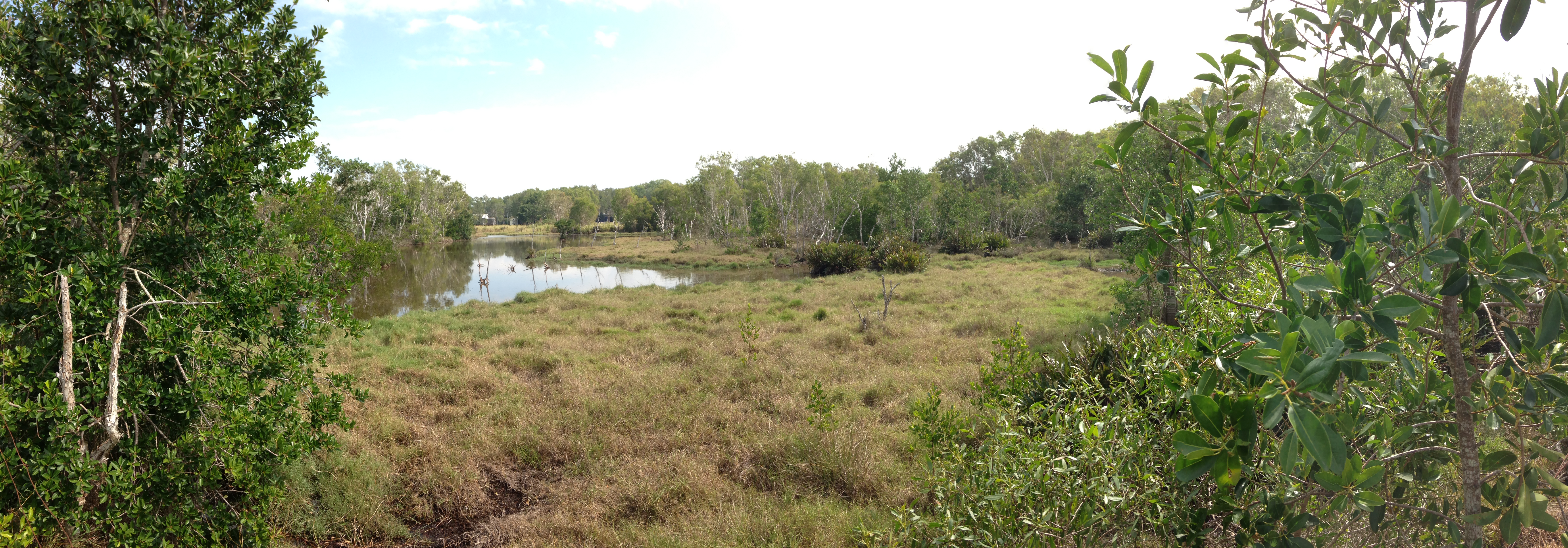 Wetland in Central Queensland.