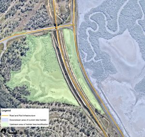 Road and rail infrastructure potentially restrict tidal movement.