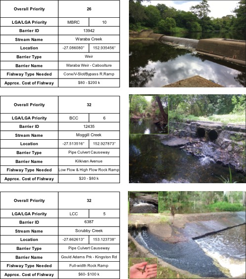 Top ranking fish barriers in south east Queensland, including Waraba Creek, Moggill Creek and Scrubby Creek, places identified for fish ladder sites and fishway monitoring.