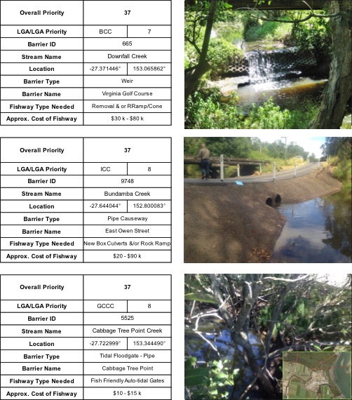 Top ranking fish barriers in south east Queensland, including Downfall Creek, Bundamba Creek and Cabbage Tree Point Creek, places identified for fish ladder sites and fishway monitoring.