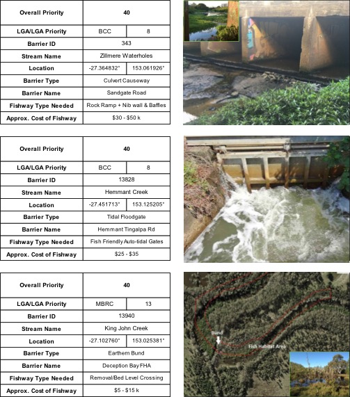 Top ranking fish barriers in south east Queensland, including Zillmere Waterholes, Hemmant Creek and King John Creek, places identified for fish ladder sites and fishway monitoring.