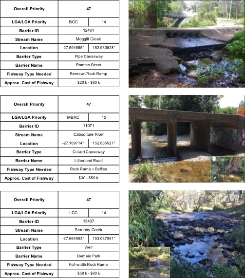 Top ranking fish barriers in south east Queensland, including Moggill Creek, Caboolture River and Scrubby Creek, places identified for fish ladder sites and fishway monitoring.