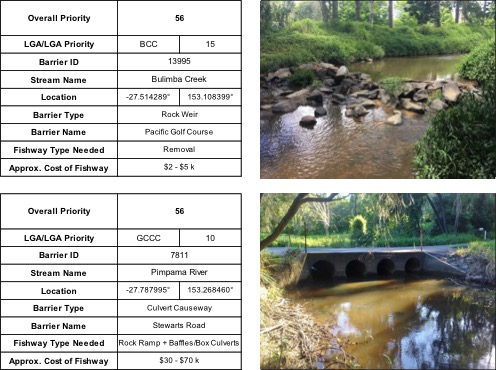 Top ranking fish barriers in south east Queensland, including Bulimba Creek and Pimpama River, places identified for fish ladder sites and fishway monitoring.