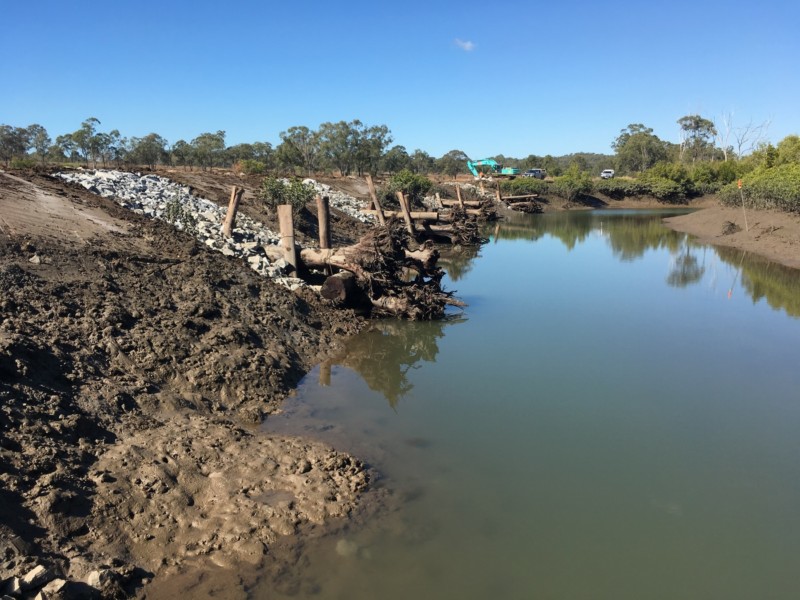 Clyde Creek Root ball structures to rehabilitate streambank erosion