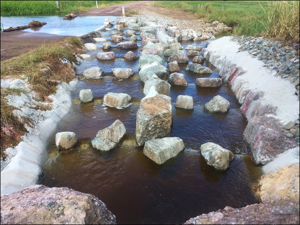 Fishladder completed by fish passage specialists Catchment Solutions connecting upper tidal habitats to wetland habitats for juvenile diadromous Australian native fish, during its first flow event.