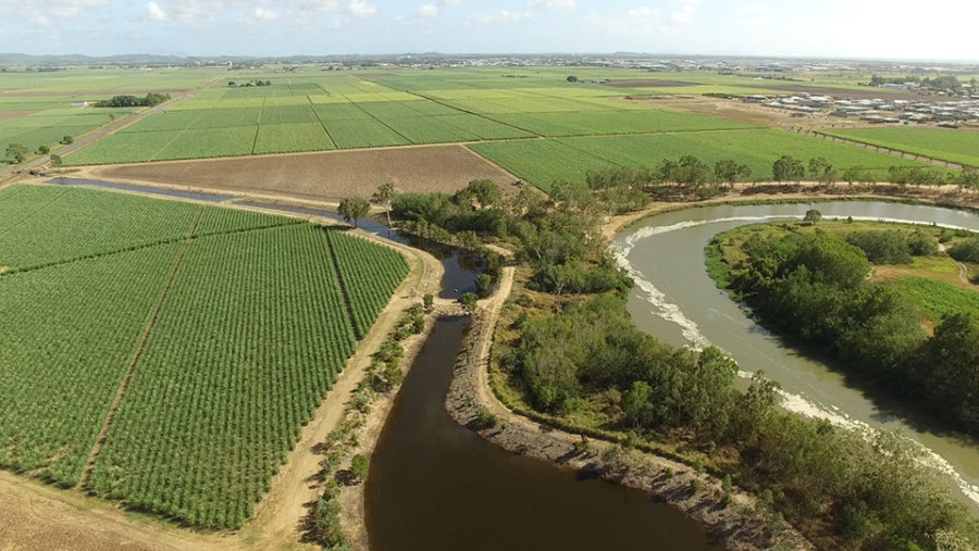 Shane Cowlley Biodiversity Wetlands near Mackay