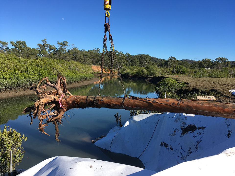 Clyde Creek Slew crane lowering logs into position