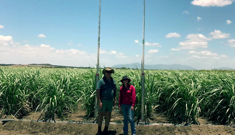 Project Catalyst - Robert Zandonadi & Alice Warner alternate row irrigation trial block