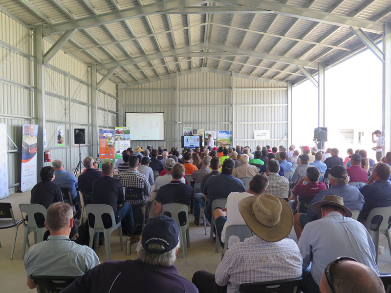 Information sessions at local field days