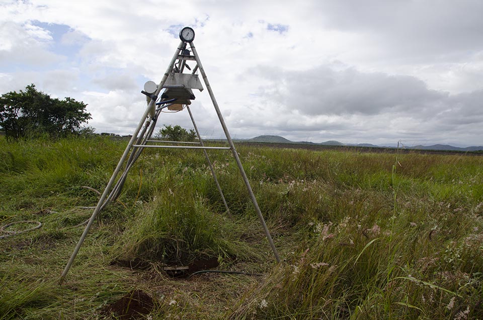 Pasture run off trials