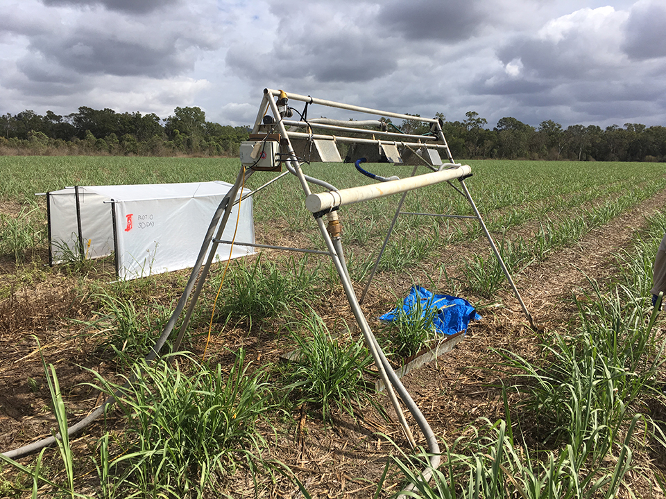 Rainfall Simulator Imidacloprid Trial with covered plot in the next row