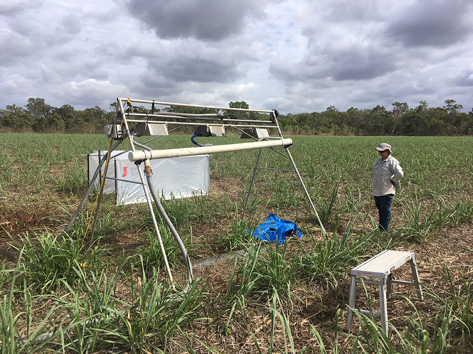 Rainfall Simulator Imidacloprid Trial with Fiona Loft from Catchment Solutions