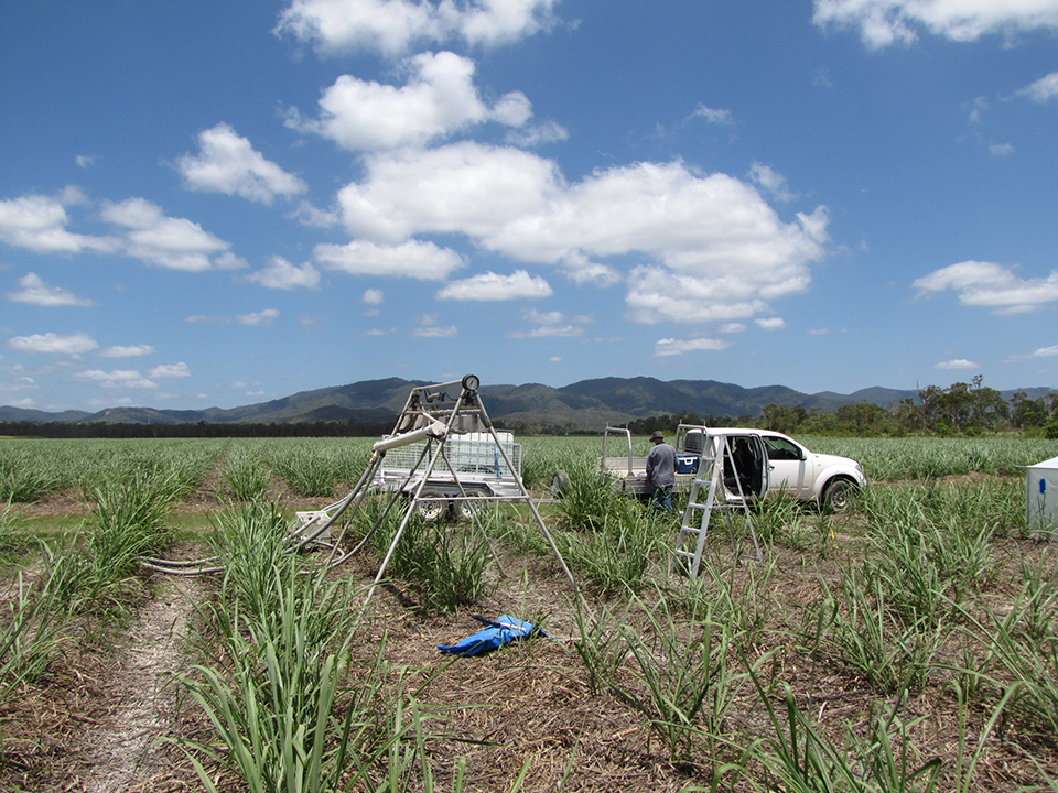 Rainfall Simulator in action Imidacloprid Trial Sugar Cane Mackay