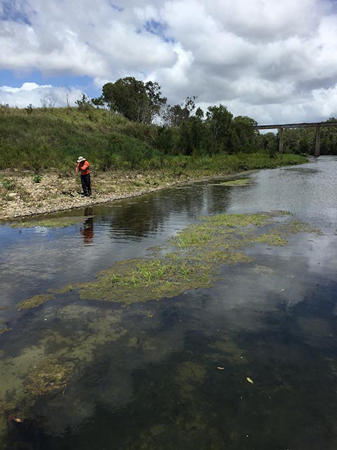 Water Quality Monitoring O'Connell River Caping Road site