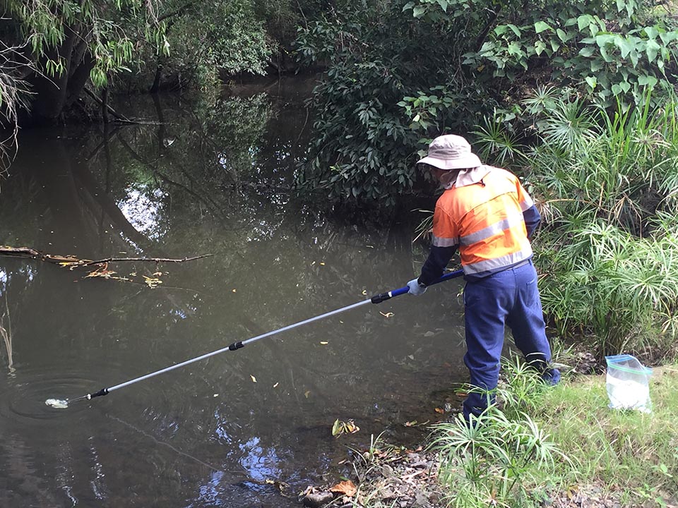 Water Quality Monitoring taking samples