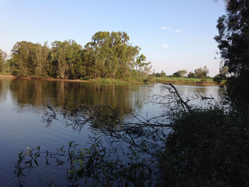 Bundaberg Habitat Loss Mapping 8