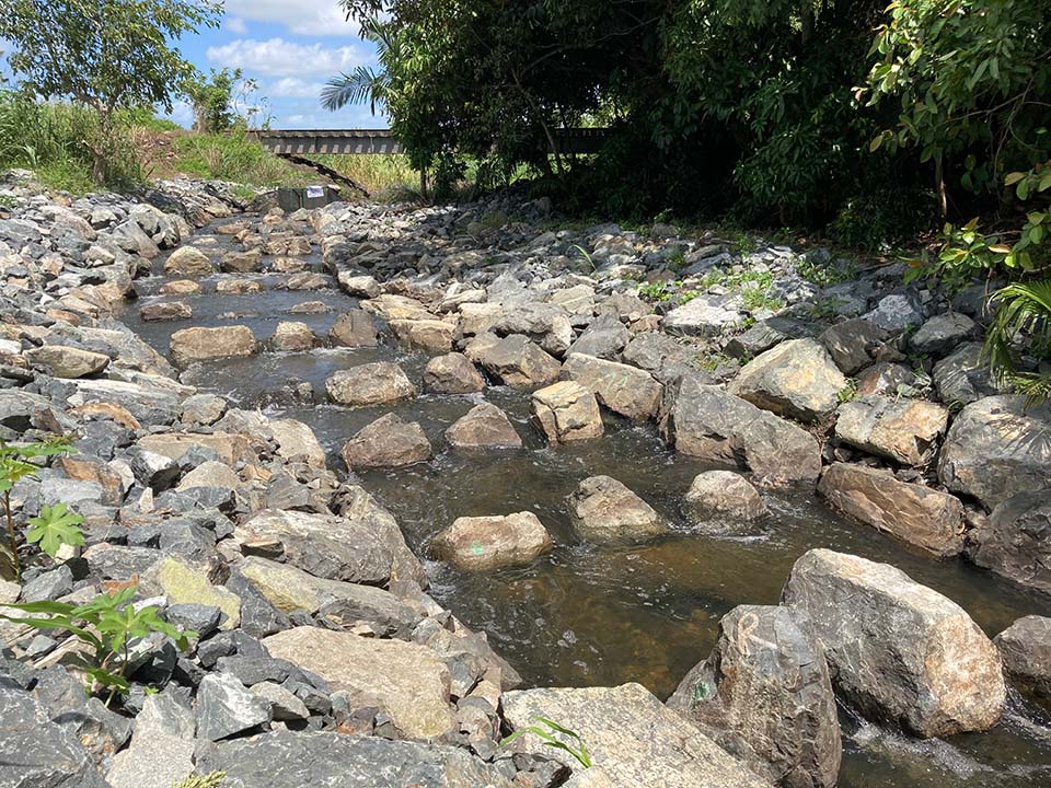 Fursden Creek Fish Ladder complete