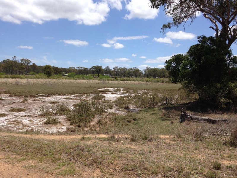 Gladstone Habitat Loss Mapping 8