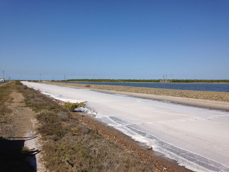 Rockhampton Habitat Loss Mapping 2 Saltworks