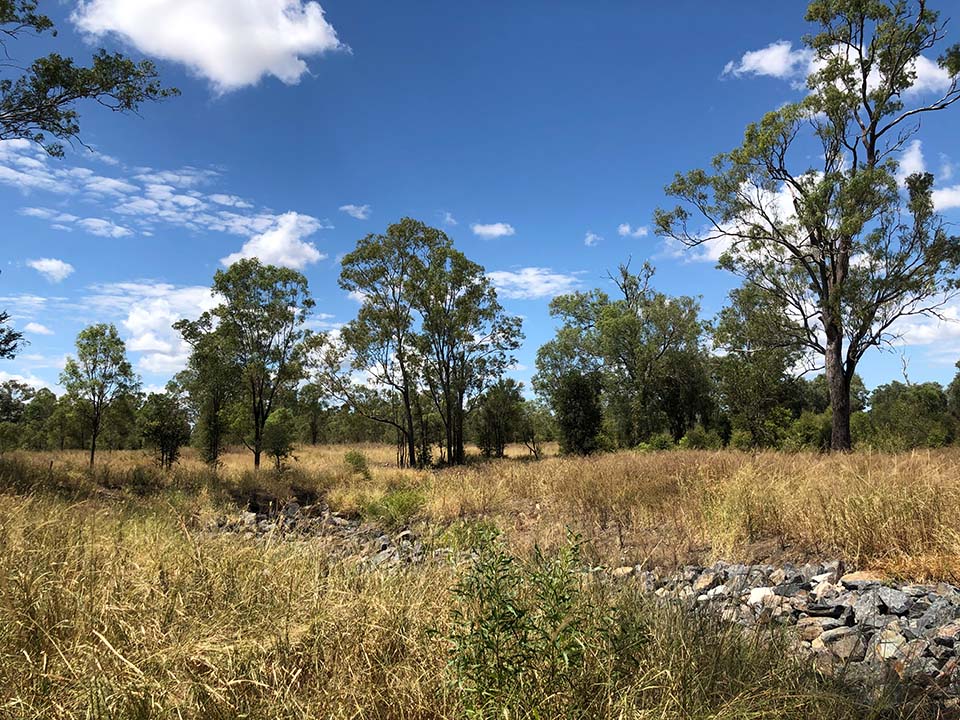 Bannockburn Gully Rock Chute - March 2022