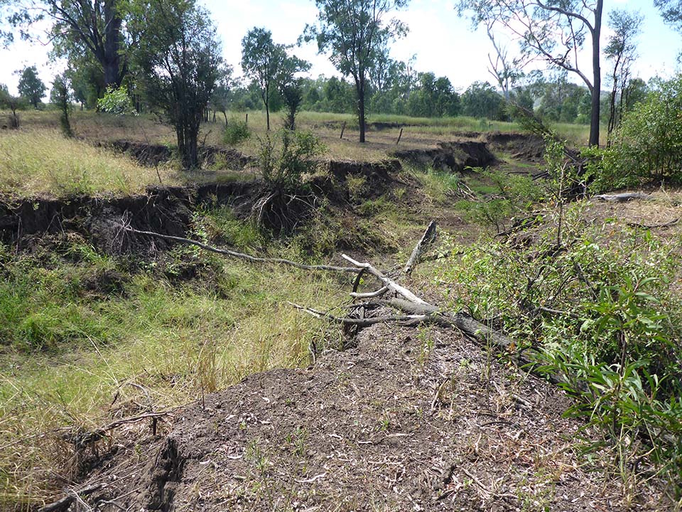 Bannockburn Gully - April 2018