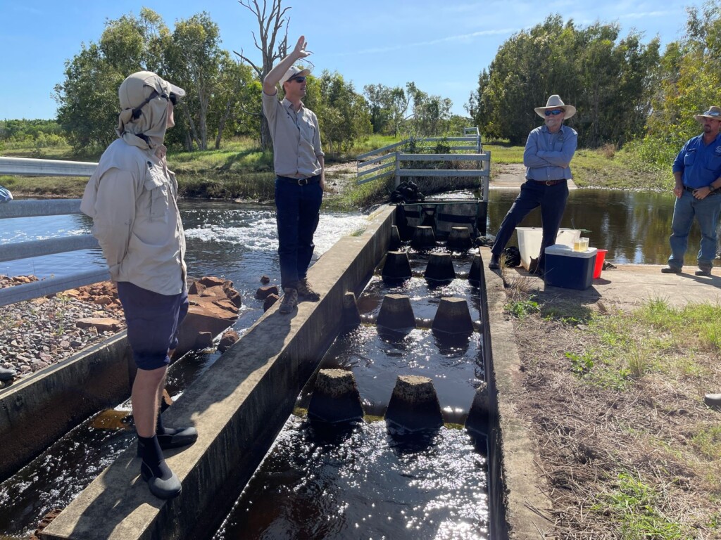 Barra and Beef Field Day Fishladder on display