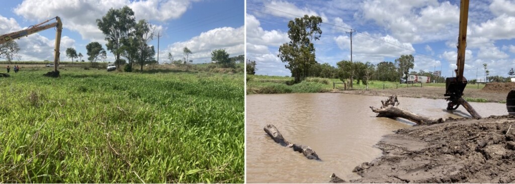 Invasive aquatic weed Hymenachne prior to wetland rehabilitation including hardwood log and root ball fish habitat at Macs Wetland, Mackay by Catchment Solutions