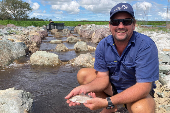 Fishway monitoring at the fishladder Macs Wetlands. Rock ramp fishway sampling or Fishladder monitoring results where juvenile barramundi, giant herring, empire gudgeon, striped scat recorded by Catchment Solutions sampling fish past a fish barrier, Queensland, Australia.