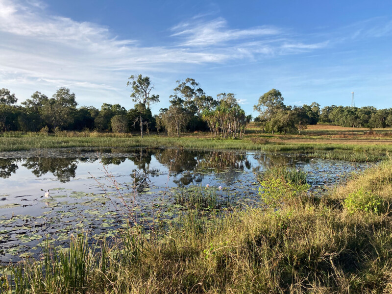 Marklands Station Ponded Pastures and Fishladder Access