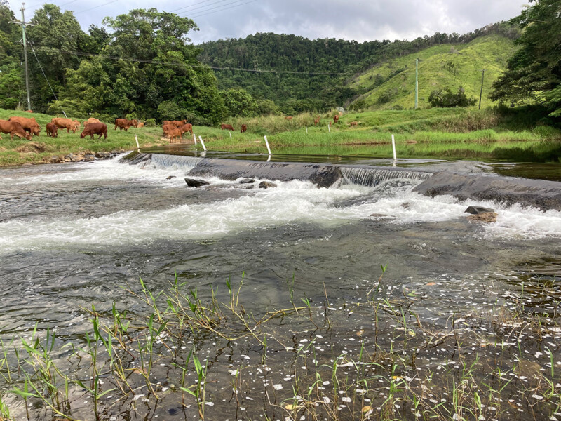 Catchment Solutions identifying fish habitat restoration sites for improved fish passage