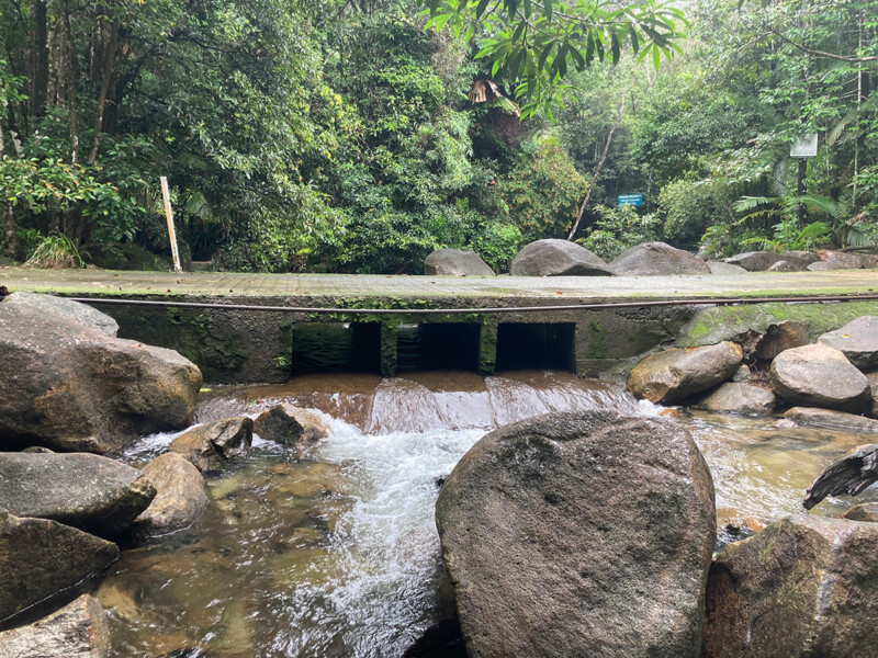 Identifying fish ladder sites for improved fish passage of diadromous fish species