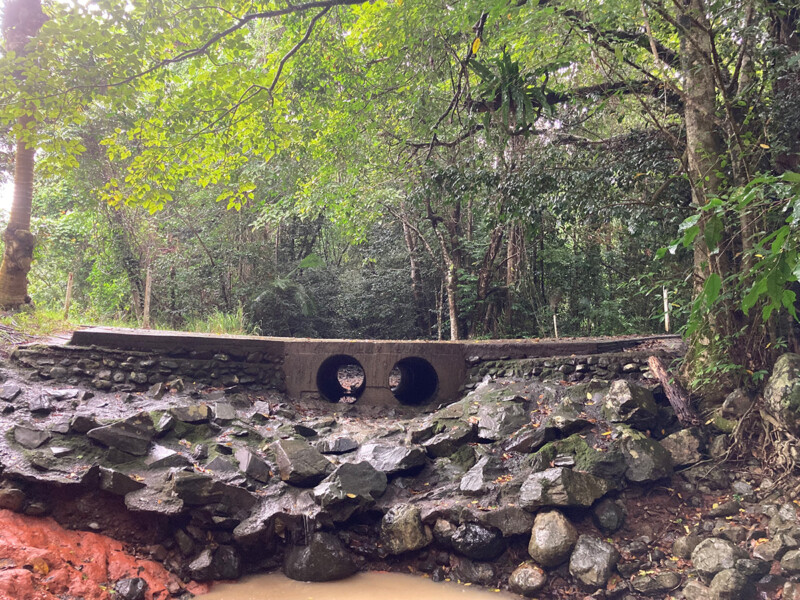 Catchment Solutions Daintree to lower Barron Rivers fish barrier prioritisation