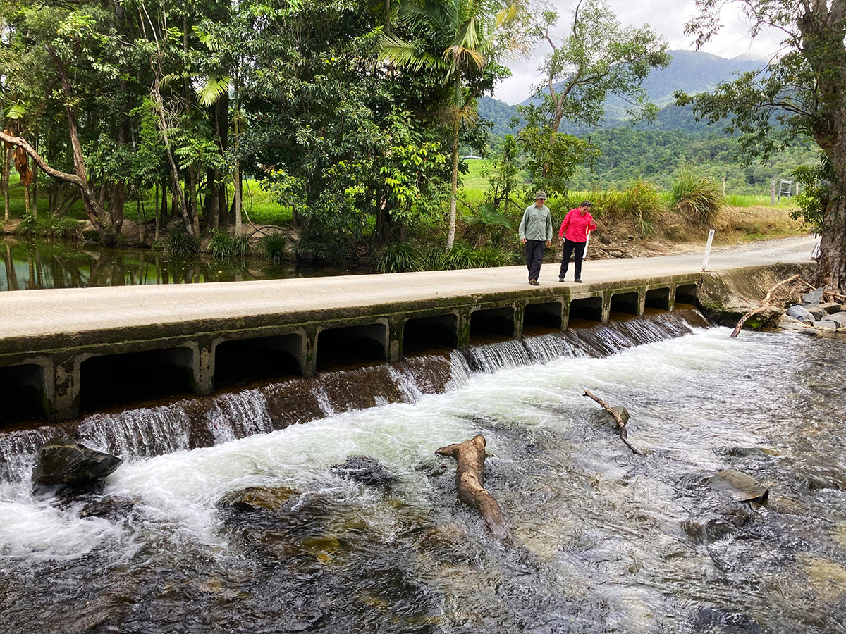 Catchment Solutions assessing fish barriers on waterways in the Wet Tropics Qld