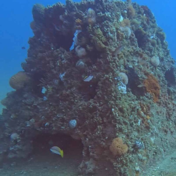 Pyramid Reefs, Catchment Solutions
