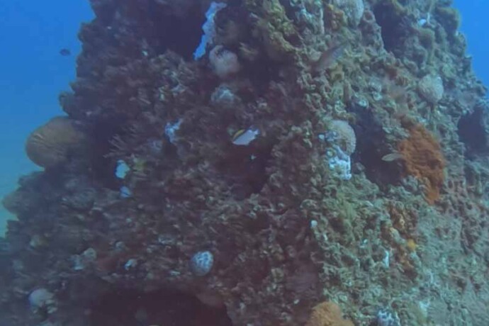 Pyramid Reefs, Catchment Solutions