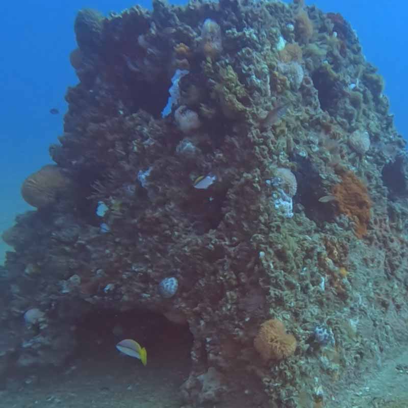 Pyramid Reefs, Catchment Solutions